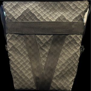 Bottega Veneta Backpack